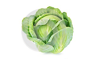 Cabbage isolated on white background