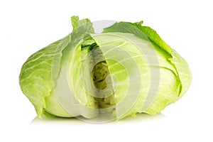 Cabbage isolated on white background