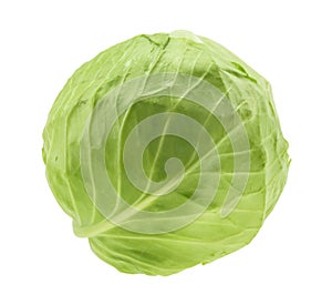Cabbage isolated on white background without shadow
