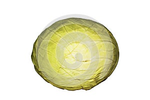Cabbage isolated on white background. Whole cabbage on a white background.