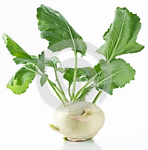 Cabbage kohlrabi on a white