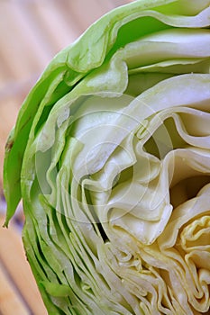 Cabbage layers