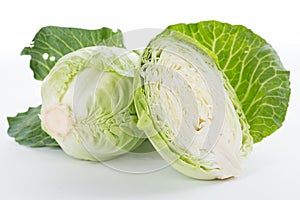 Cabbage