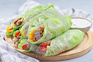 Cabbage leaves wraps with beef, vegetables and cheese, served with plain yogurt, horizontal