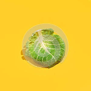 Cabbage leaves on yellow background. Savoy cabbage in sunlight with hard shadow. Garden, spring, summer, grow concept