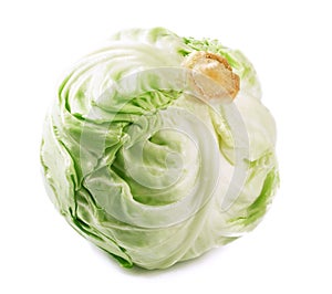 Cabbage lettuce isolated
