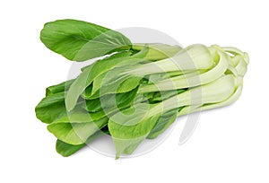 Cabbage pak choy photo