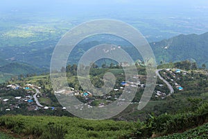 Cabbage planting plot, Phu Thap Buek Mountain