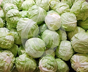 Cabbage potatoes for sale