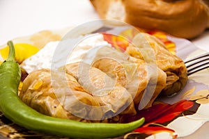 Cabbage rolls filled with minced meat and rice on plate