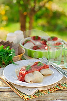 Cabbage Rolls with Tomato Sauce and Dill