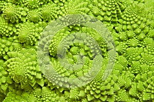 Cabbage romanesco background photo