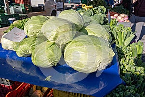 Cabbage for sale at a street market