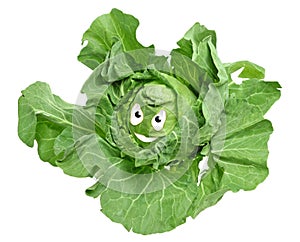 Cabbage smiley