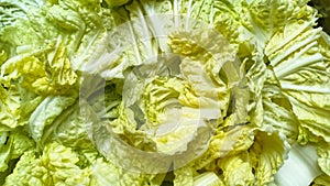 Cabbage in Ruteng, Flores Island, Indonesia photo