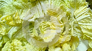Cabbage in Ruteng, Flores Island, Indonesia photo