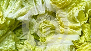 Cabbage in Ruteng, Flores Island, Indonesia photo