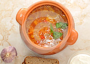 Cabbage soup is a traditional dish of Russian national cuisine