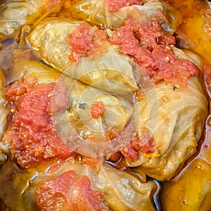 Cabbage stuffed with pork called / sarmale / - traditional food from Transylvania - Romania