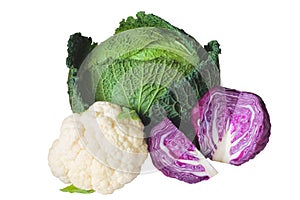 Cabbage varieties