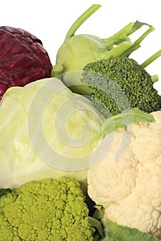 Cabbage varieties