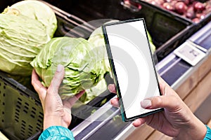 Cabbage vegetable in hand and smartphone isolated white