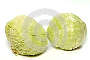 Cabbage-vegeterian food