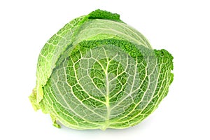 Cabbage on white