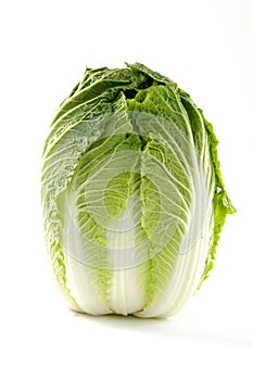 Cabbage on white