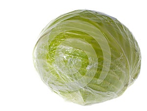 Cabbage wrapped in cellophane isolated