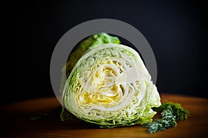 Cabbage young green