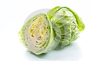 Cabbage young green