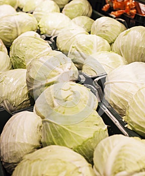 Cabbages for sale in a supermarket