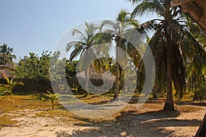 Cabin at the beach by Baru in Colombia next to Cartagena