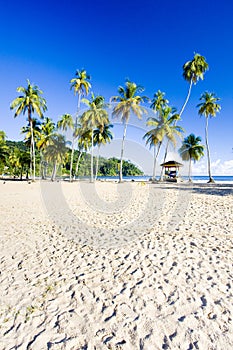 cabin on the beach, Maracas Bay, Trinidad