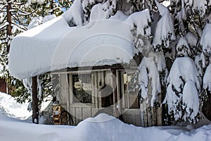 Cabin buried with snow on roof & trees