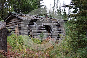 Cabin at Coloma Ghost Town photo