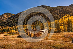 Cabin in Colorado with Peak Fall Colors Falling Apart