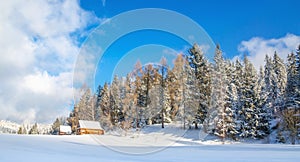 Cabin covered with snow, Beskidy, Poland