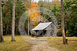 Cabin deep in the forest