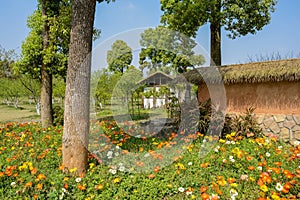 Cabin and enclosure in flowering spring at sunny noon