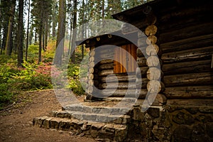 Cabin With Fall Color In The Merced Gove Of Giant Sequoias