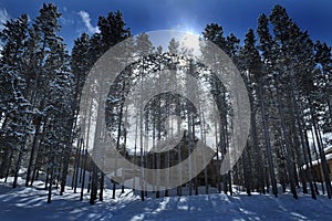 Cabin in Forest Woods Pine Trees Winter Time Covered in Snow