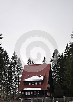 Cabin house in the wood from Sinaia resort in Romania