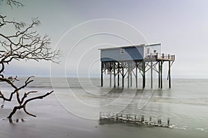 Cabin on Hunting Island