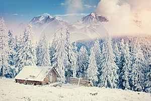 Cabin in the mountains in winter. Mysterious fog.