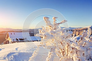 Cabin in the mountains in winter. Mysterious fog. In anticipatio