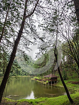 Cabin in natural park