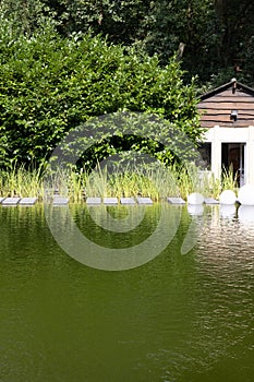 Cabin Reflections on the pond