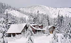 Cabin in the Snow photo
